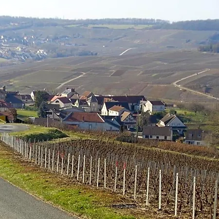 Roulotte La Dominique 4* Romery (Marne)