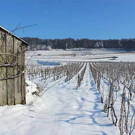 Couette-café Roulotte La Dominique 4*