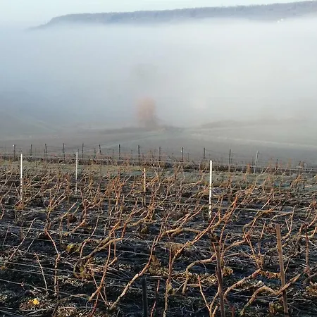 Roulotte La Dominique Couette-café 4*