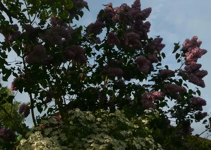 Bed & Breakfast Roulotte La Dominique 4*