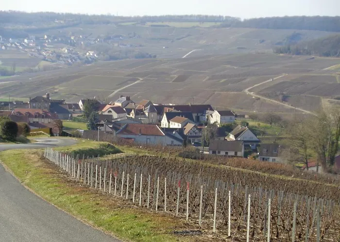 Roulotte La Dominique Romery (Marne)