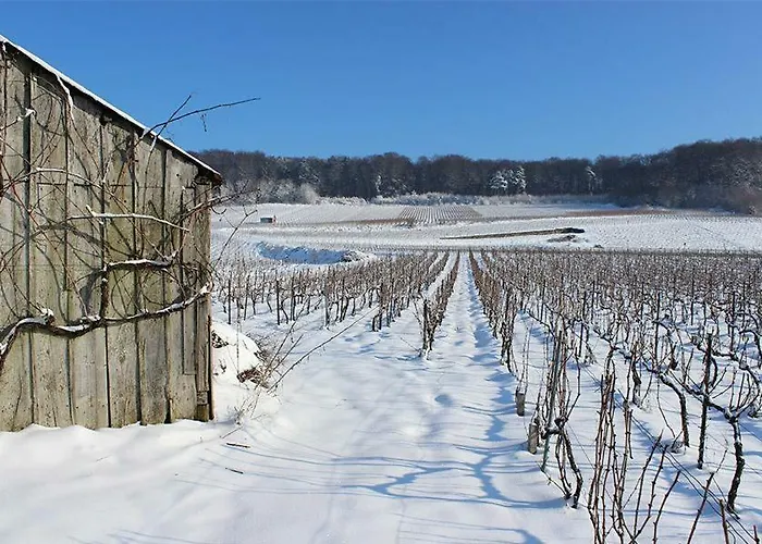 Bed & Breakfast Roulotte La Dominique 4*