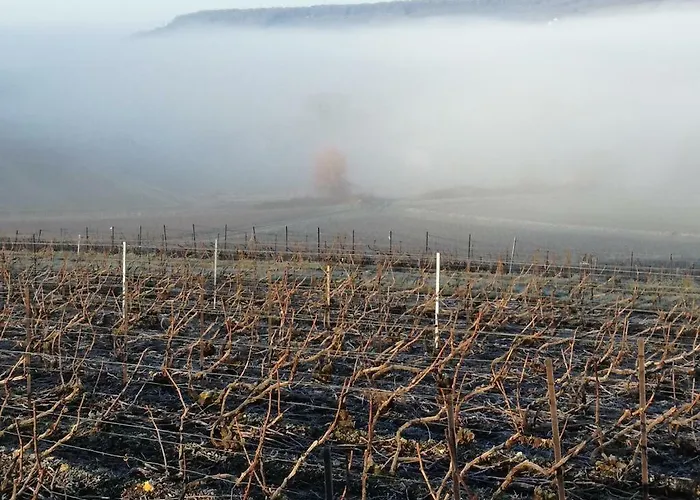 Roulotte La Dominique Bed & Breakfast 4*